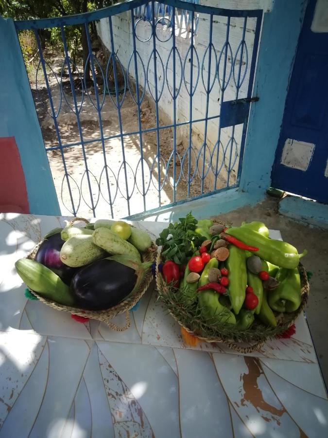 Nefzi Guest House Bagian luar foto